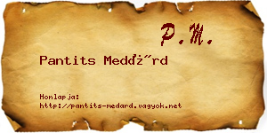 Pantits Medárd névjegykártya